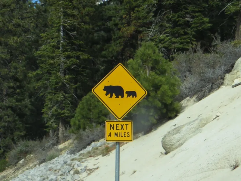 A yellow bear crossing sign beside Nevada State Route 28, among pines and pale granite.