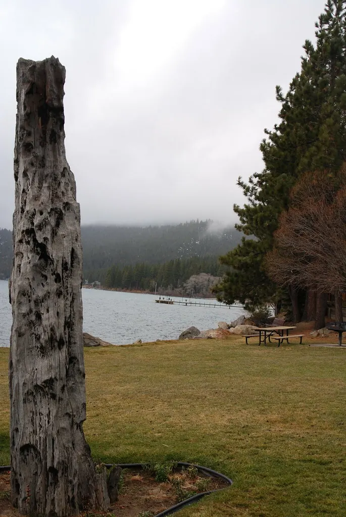 A weathered tree stump on a lawn beside a picnic table and the Lake Tahoe shore at Burnt Cedar Beach, with misty pine hills and a pier behind.