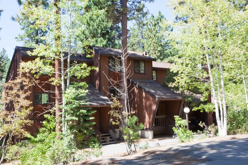 Brown wooden condo buildings among tall pines.
