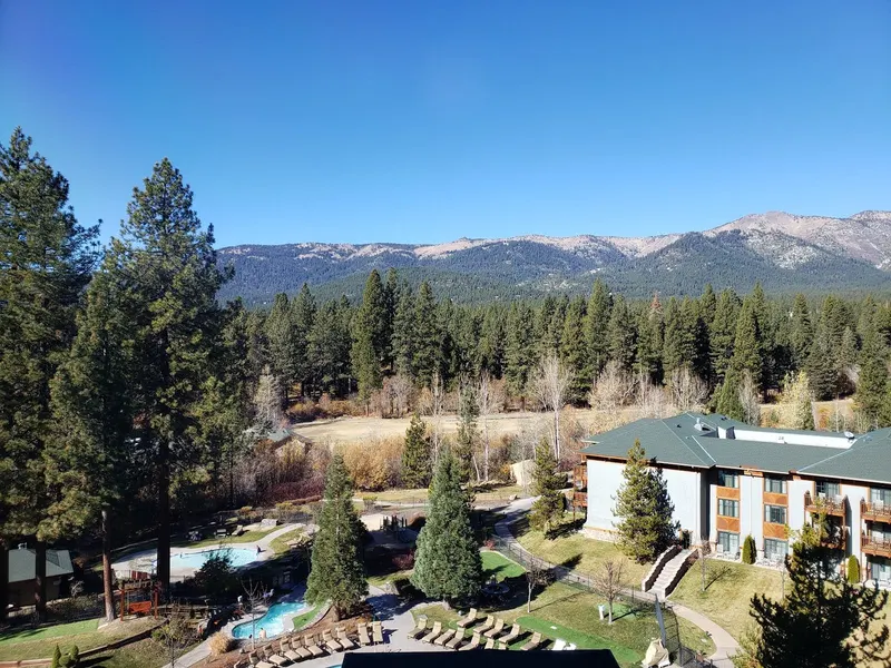 Pine forest and distant mountains seen from the grounds, with a resort pool below.