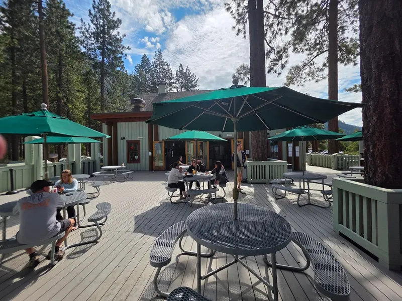 A patio with green umbrellas and picnic tables under tall pines.