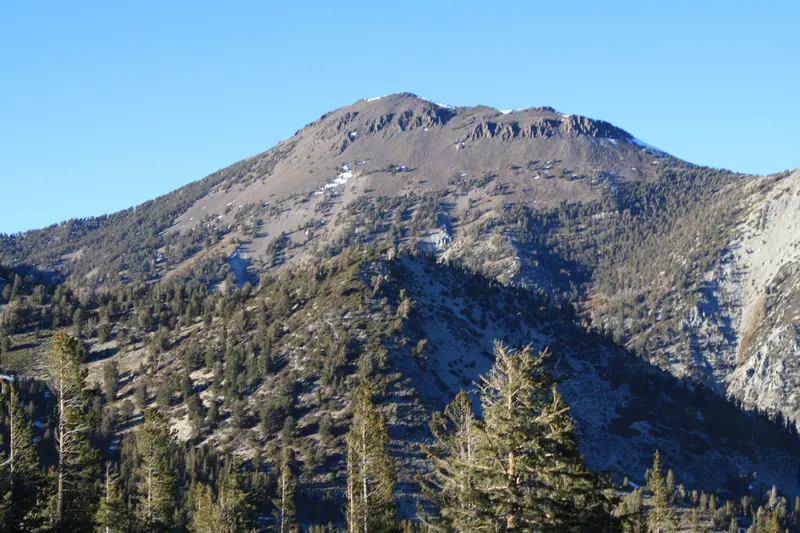 The bare, rocky summit of Mt. Rose in late light, with pines on the slopes below.