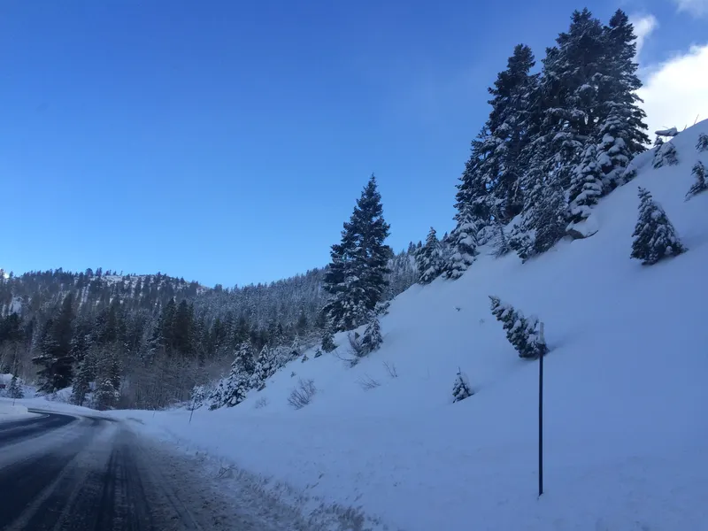 Mt Rose Highway after a fresh snow, with plowed lanes, deep snowbanks and snow-covered firs under a blue sky.