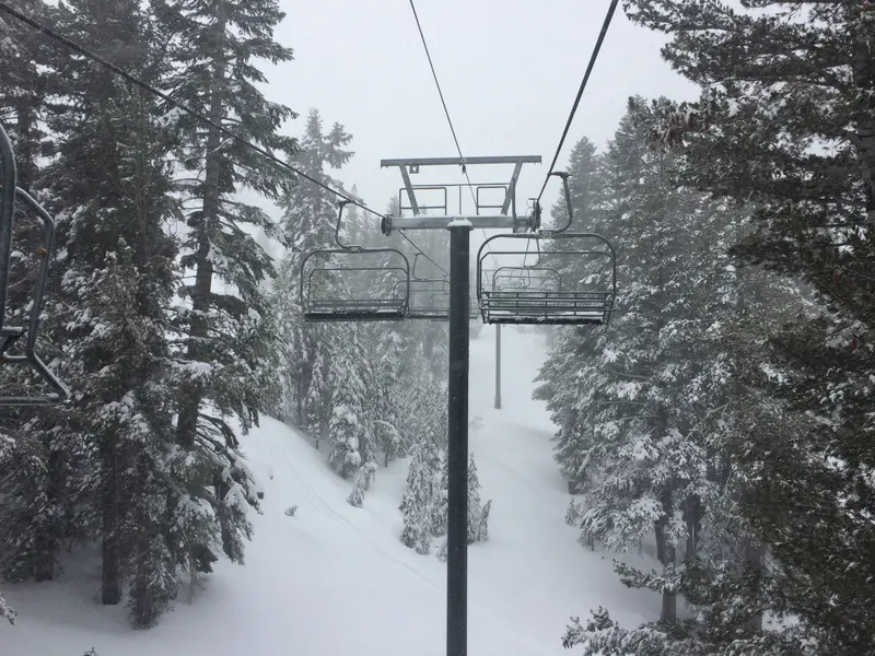 A chairlift climbing through snow-covered pines at Mt. Rose.