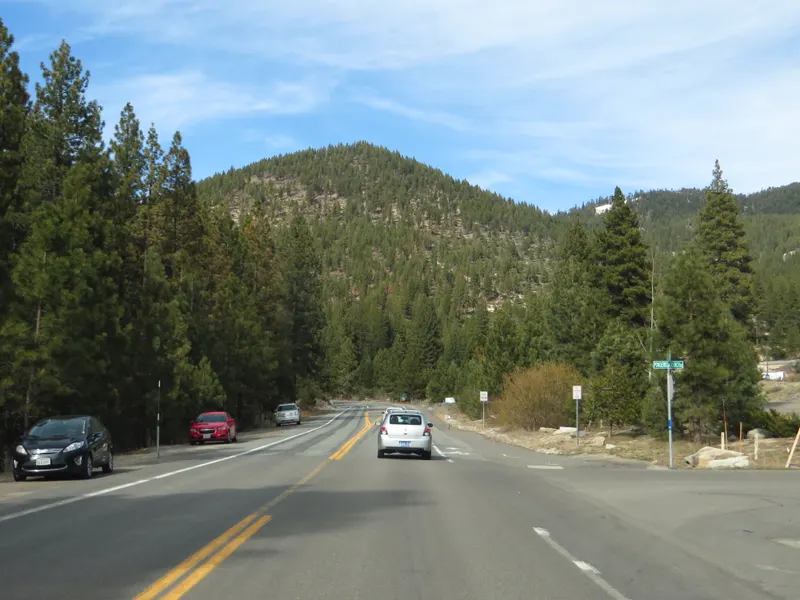 Nevada State Route 28 running straight through pines near Incline Village.