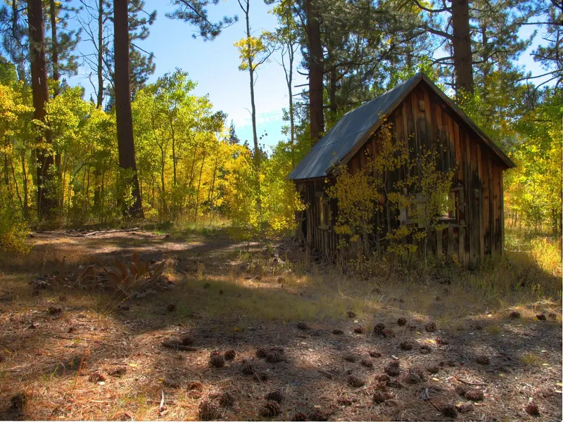 A small weathered cabin among golden fall trees along the Marlette Lake Trail.