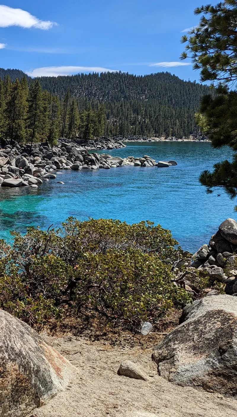 Bright blue water along a boulder-lined shore at Secret Cove, with a forested hill behind and a pine branch at the right (cropped to the water and hills).