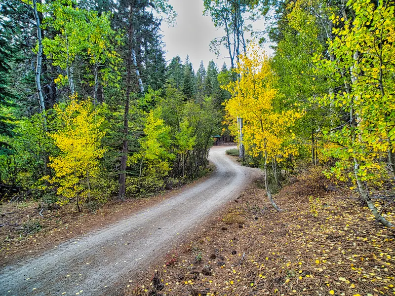 A dirt road bends between yellow aspens and pines at Spooner Lake in early October.