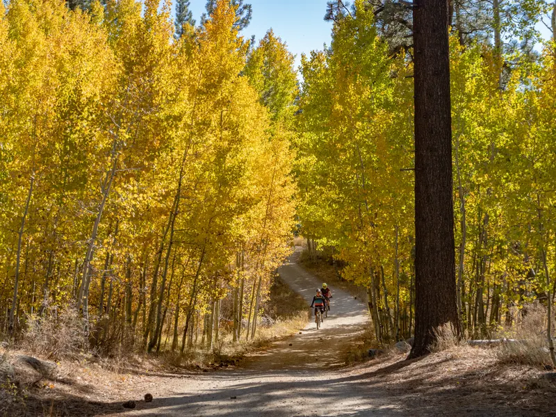 Two cyclists ride a dirt road through a grove of golden aspens at Spooner Lake, on the Nevada shore of Lake Tahoe, in October.