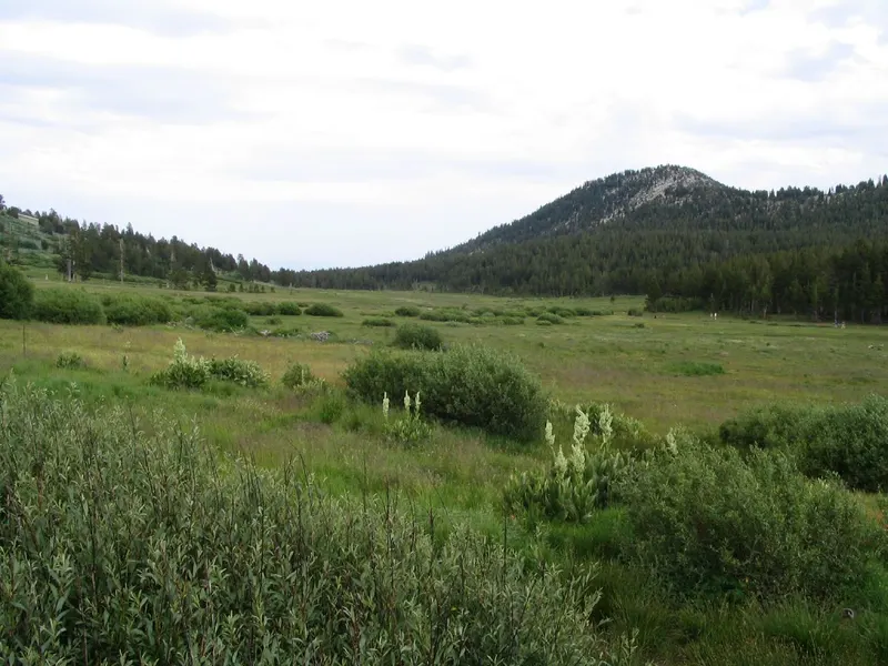 A green meadow in Tahoe Meadows along Highway 431 with a rounded mountain behind.