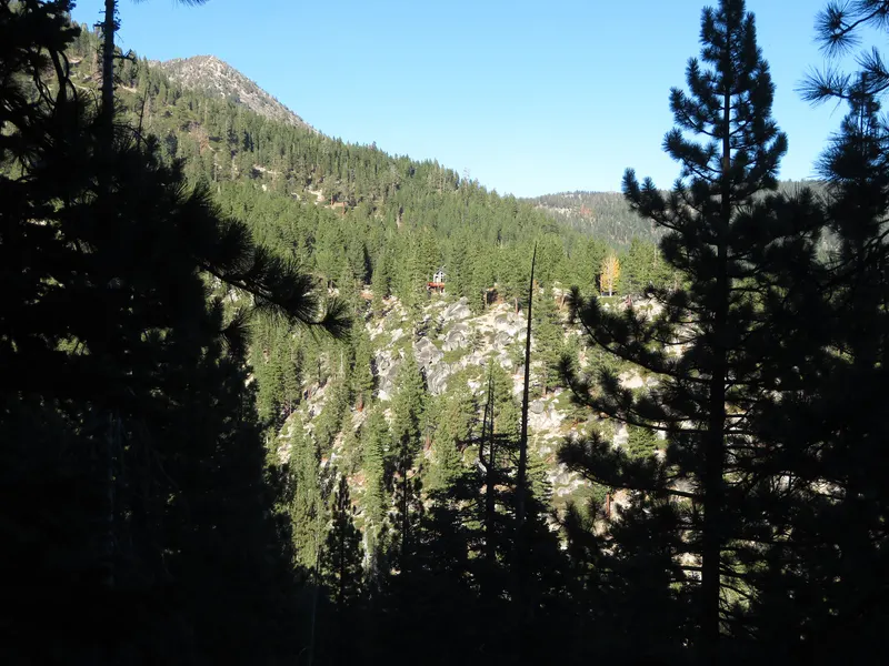 A forested canyon and ridge seen between tall pines from the Wood Creek Trail above Incline Village.