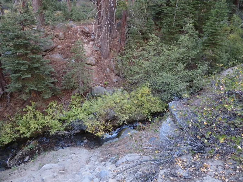A dry, rocky streambed with shrubs and yellowing trees along the Wood Creek Trail in Incline Village.